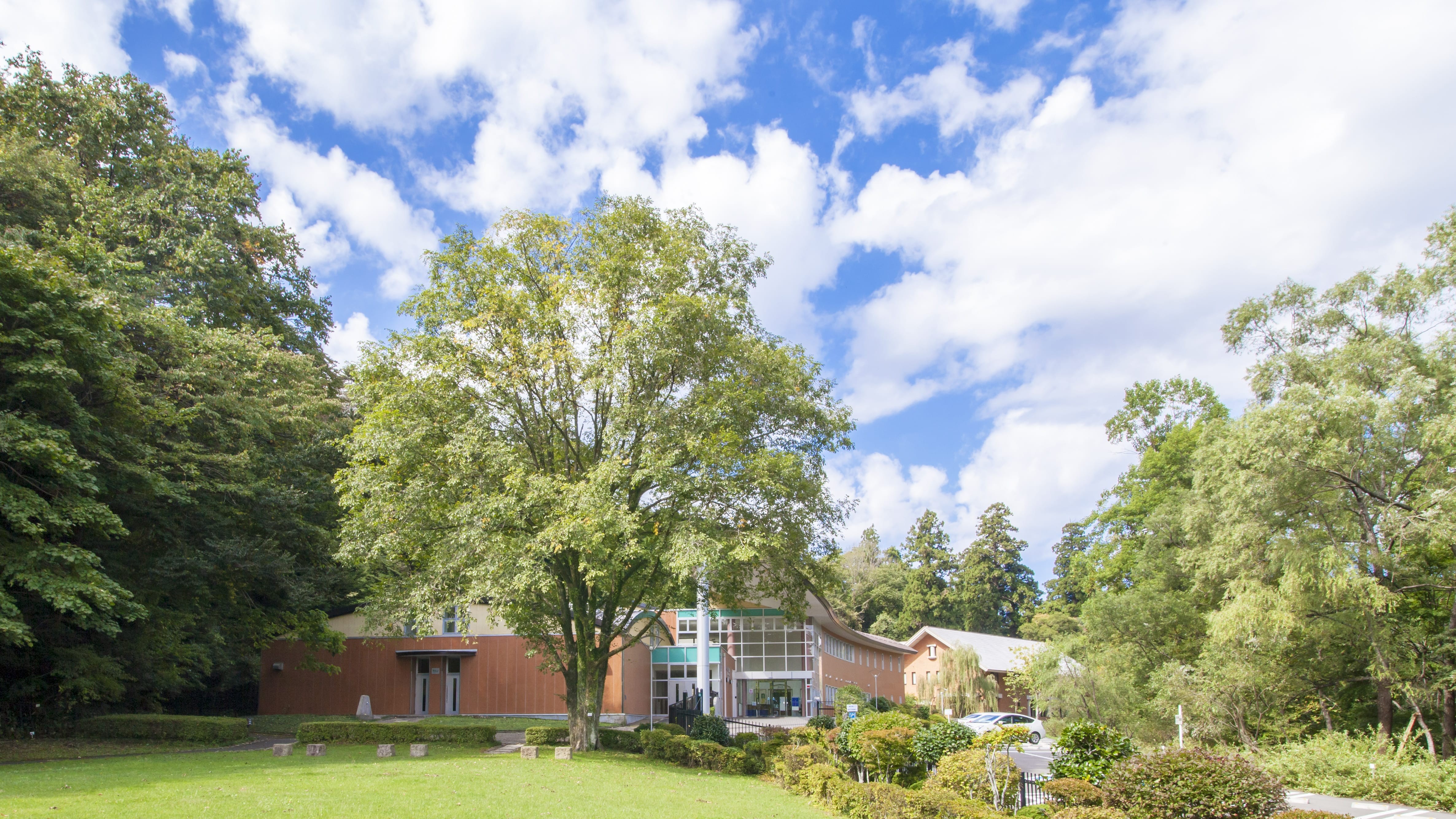 【仙台観光】東北大学植物園　ホテルから車で8分　写真提供：宮城県観光戦略課