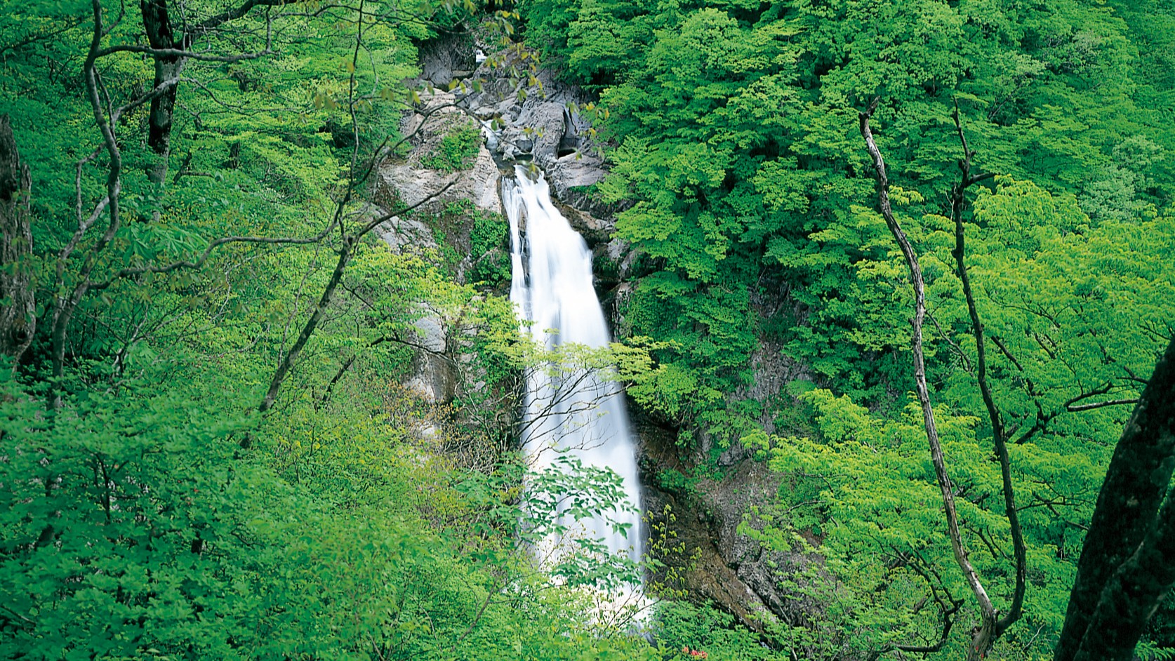 【仙台観光】秋保大滝　ホテルから車で40分　写真提供：宮城県観光戦略課
