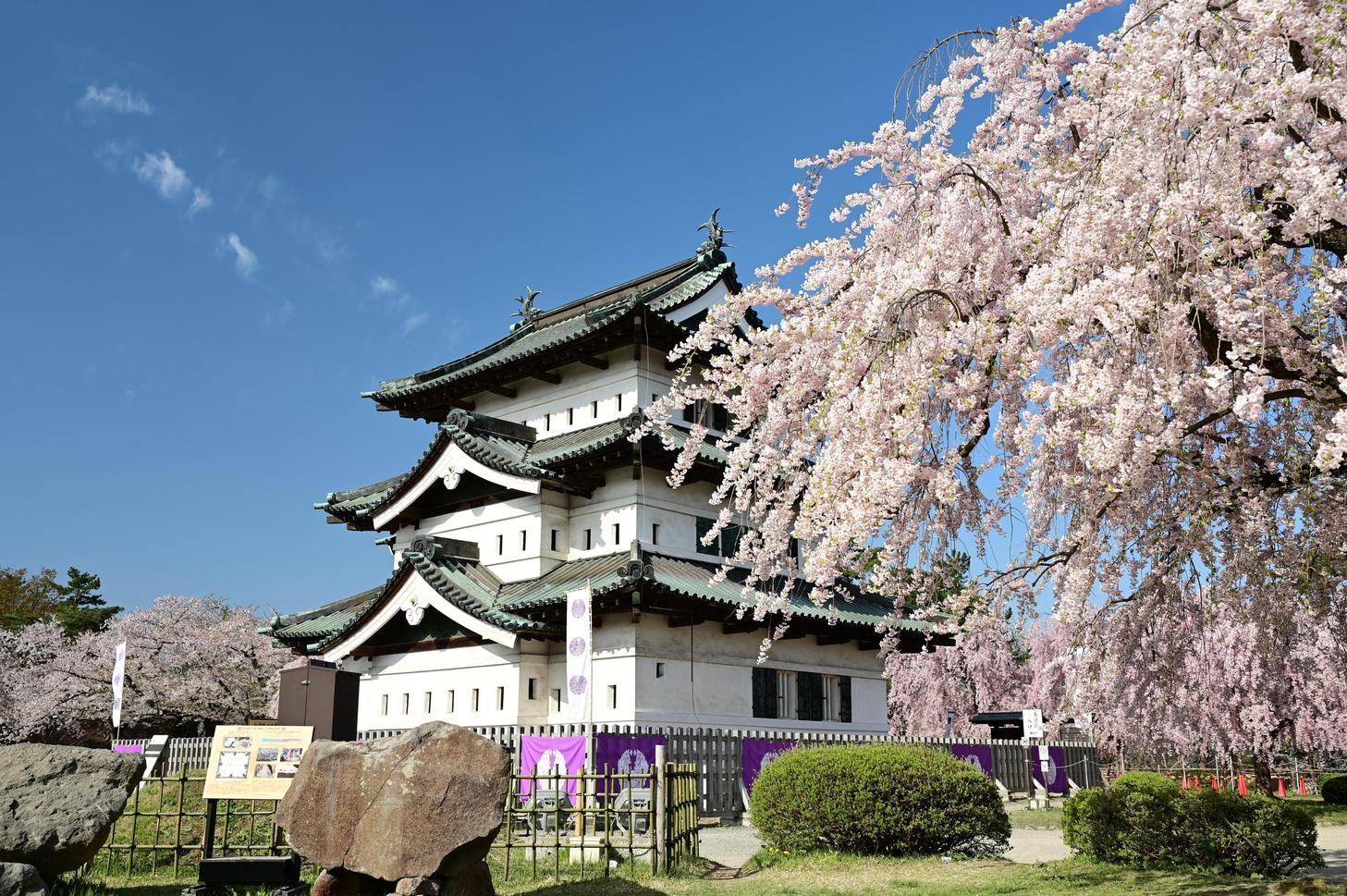 【オンライン決済限定】ひろさきの春満喫プラン♪2026 ※14日前よりご返金不可