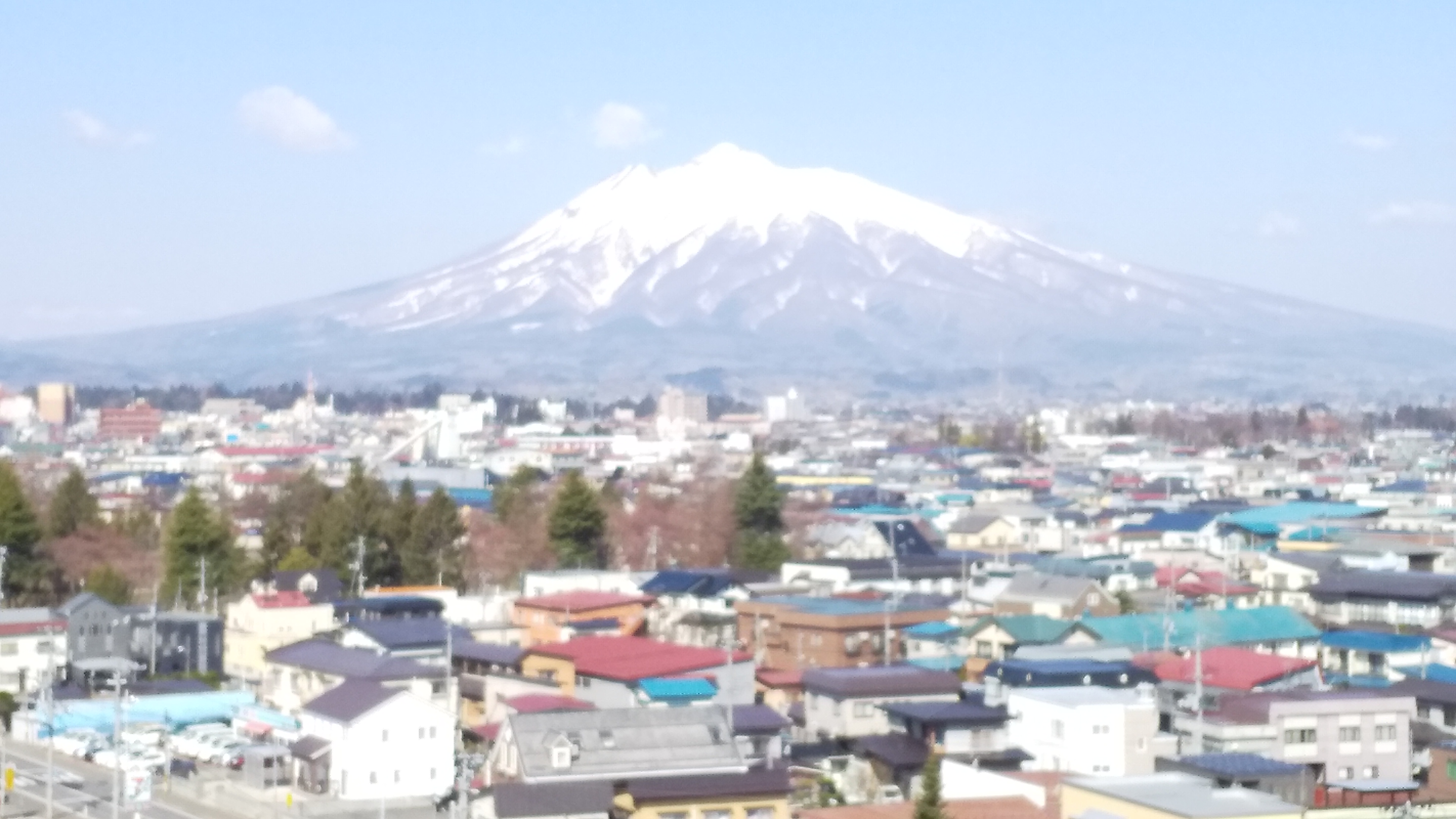 客室からの眺め