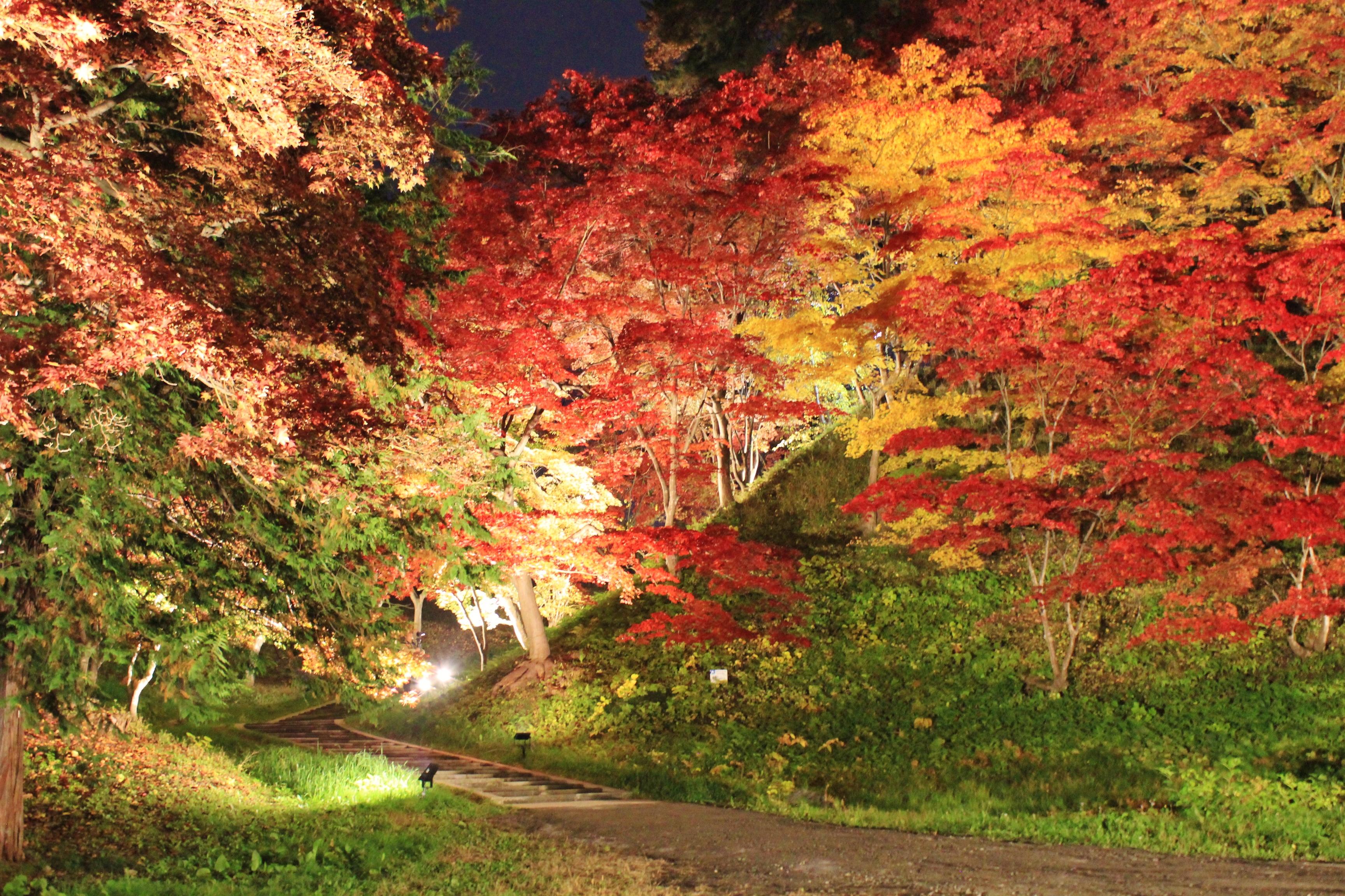 紅葉_本丸馬出し石段(秋)_ライトアップ