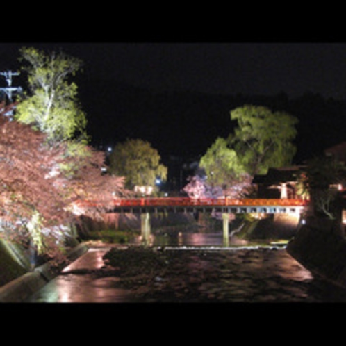 春の中橋と桜（夜景）