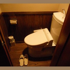 new toilet