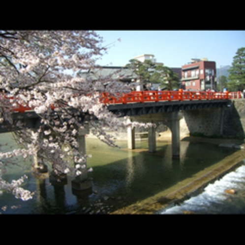 春の中橋と桜