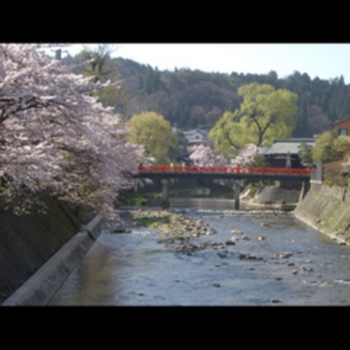 春の中橋