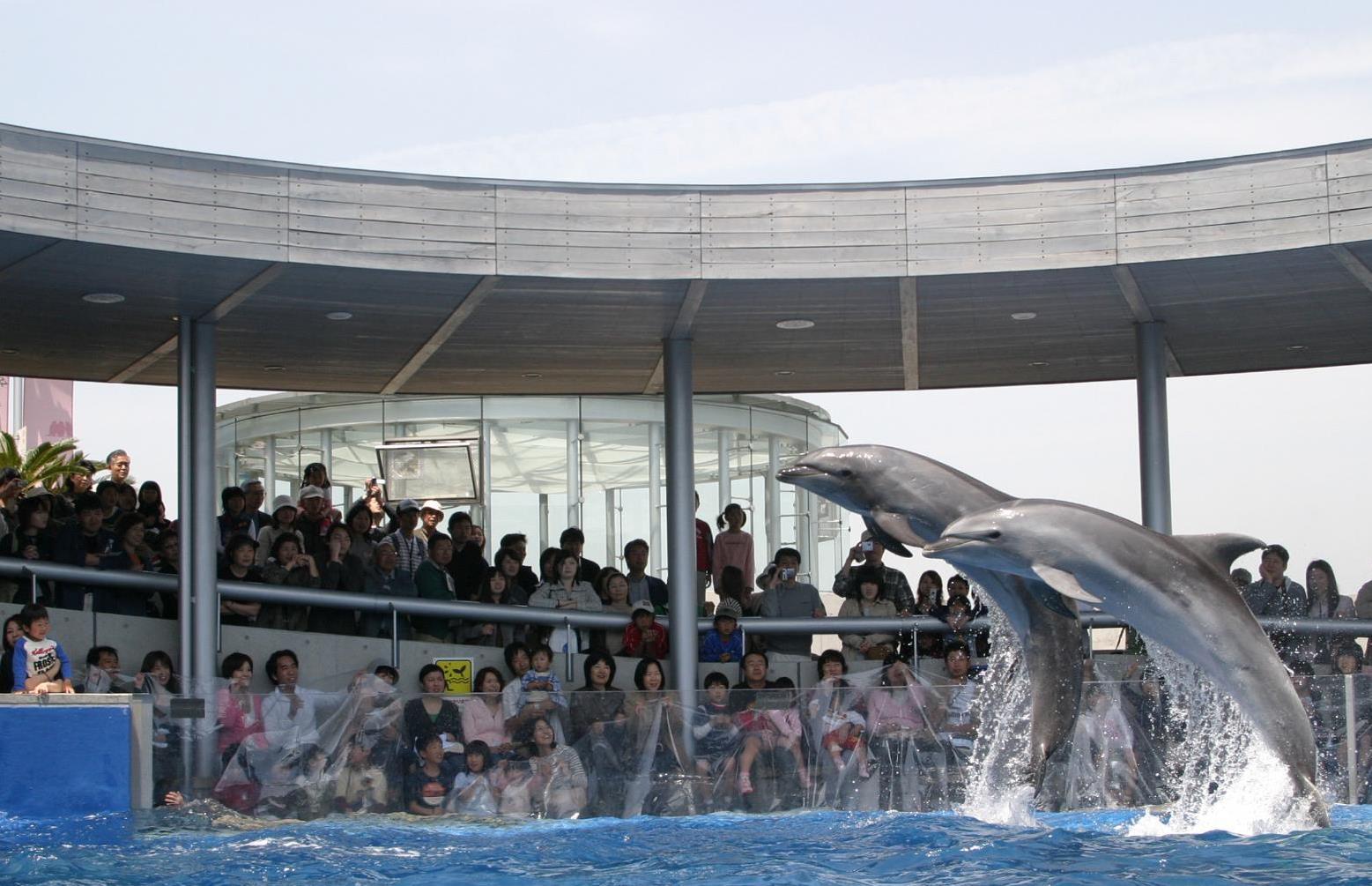 大分マリーンパレス水族館「うみたまご」
