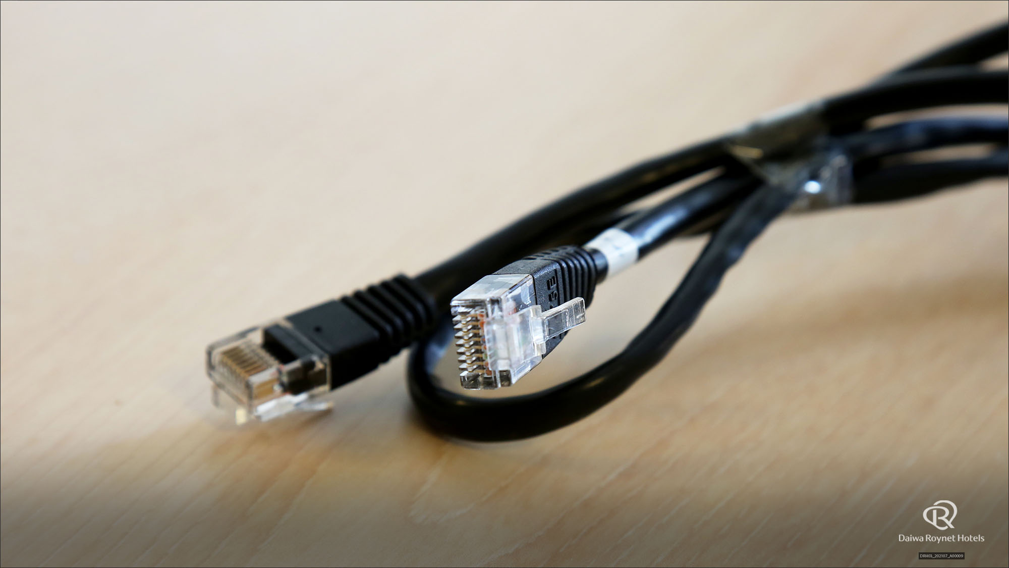 有線LANケーブル（客室内備品）