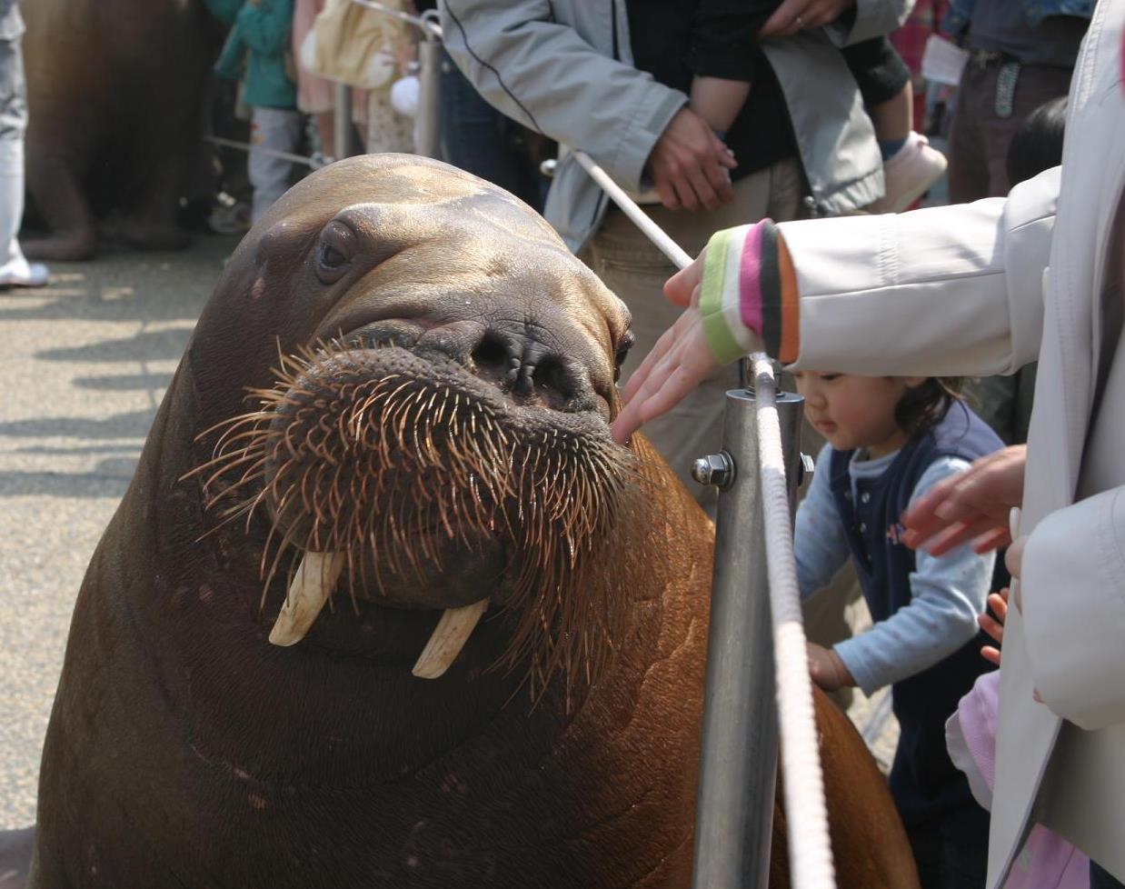 大分マリーンパレス水族館「うみたまご」
