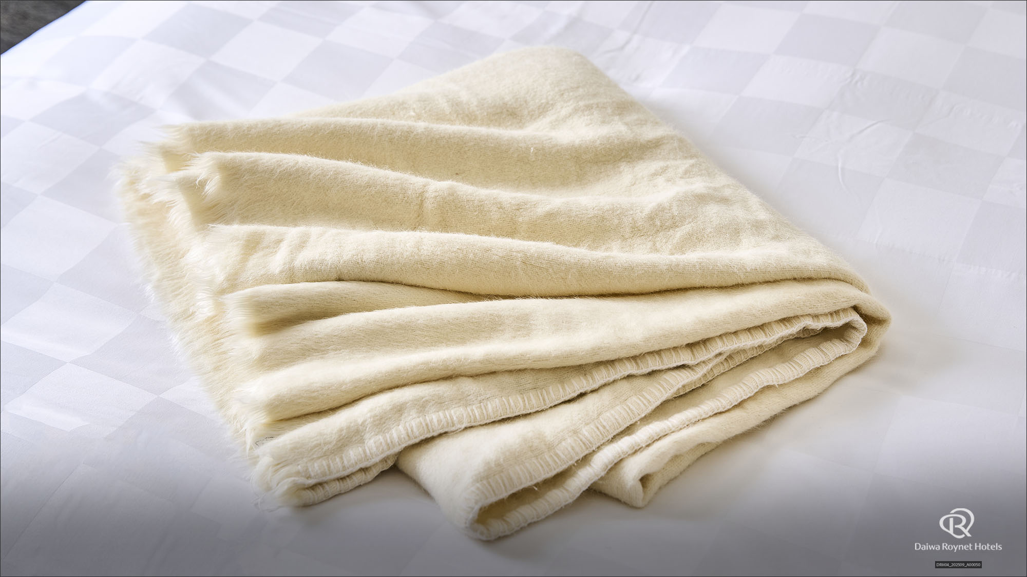 毛布（フロントにて貸出）