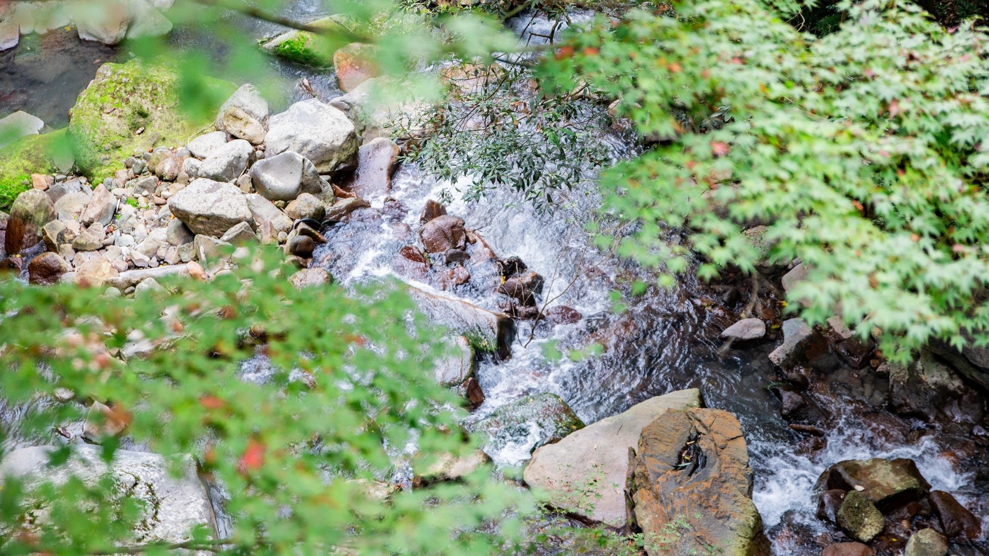 【当日限定】＜素泊まり＞ふらっと滞在　天降川沿いに佇む静かな温泉旅館