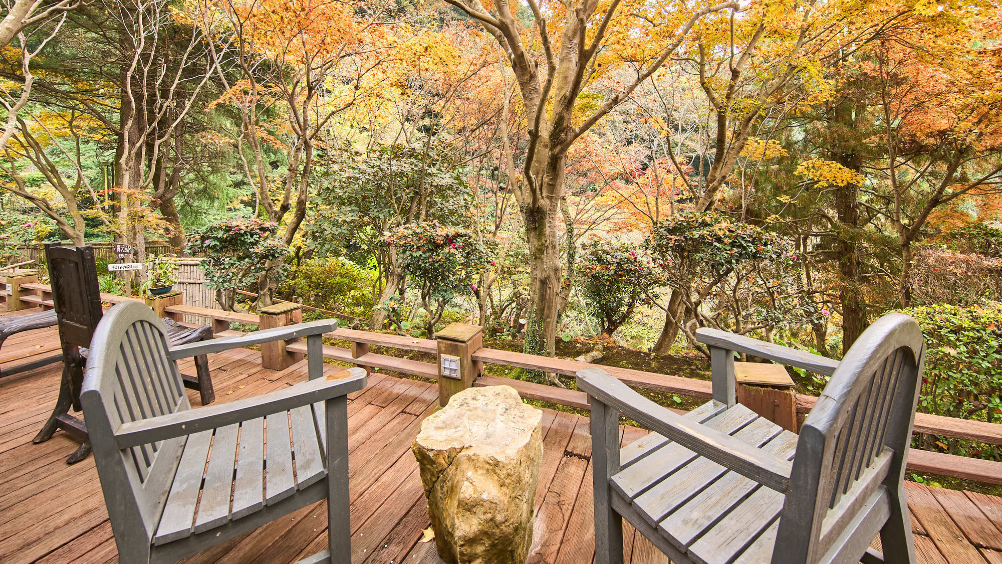 【ウッドデッキテラス】木々のさざめきや川のせせらぎに耳を傾ける。日常の喧騒から解放される優しい時間