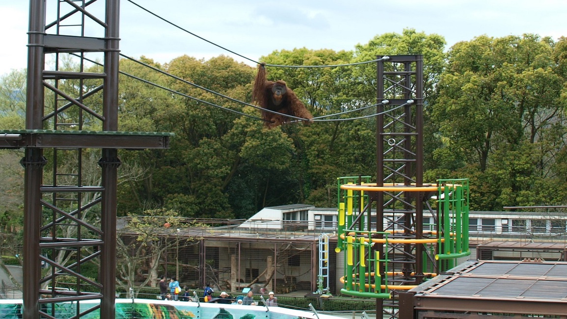 【ファミリー】【とべ動物園入園券付き】とべＺＯＯうきうきプラン♪