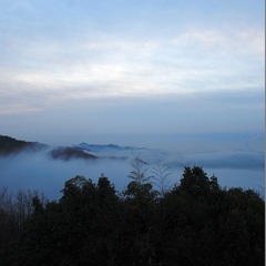 雲海