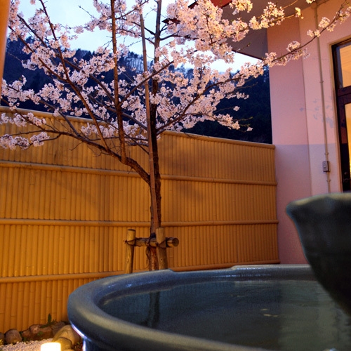 ■桜の季節限定■☆板長渾身☆卯月の一皿に舌鼓♪メインはにいがた和牛しゃぶしゃぶ♪花見露天で幸せ気分♪