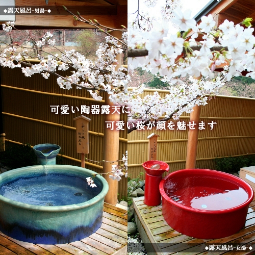 ■桜の季節限定■☆板長渾身☆卯月の一皿に舌鼓♪メインはにいがた和牛しゃぶしゃぶ♪花見露天で幸せ気分♪