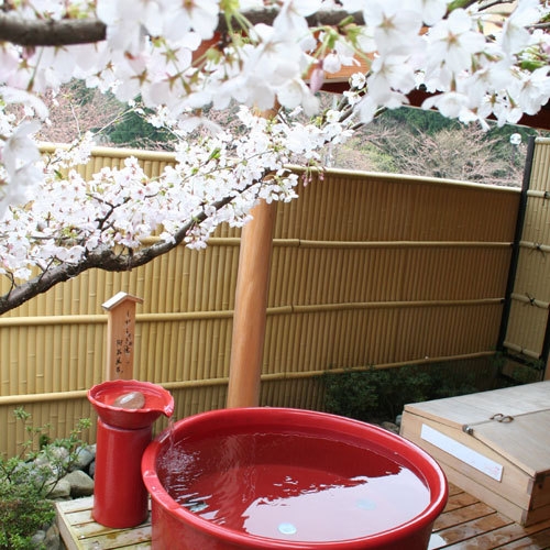 ■桜の季節限定■☆板長渾身☆卯月の一皿に舌鼓♪メインはにいがた和牛しゃぶしゃぶ♪花見露天で幸せ気分♪