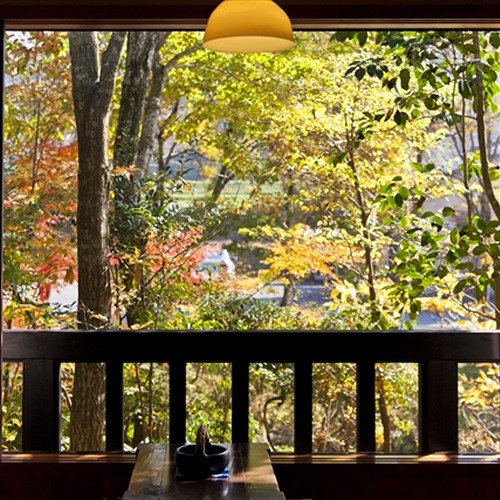 [View from the room]