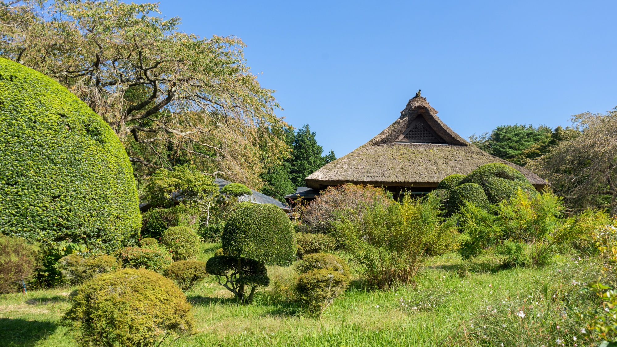 四季折々の花が見れる「秩父宮記念公園」