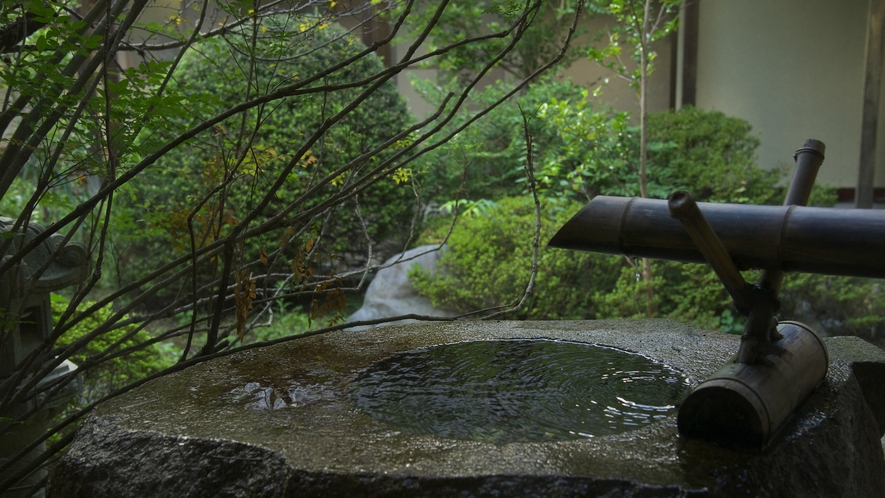各所に見られる日本庭園と水