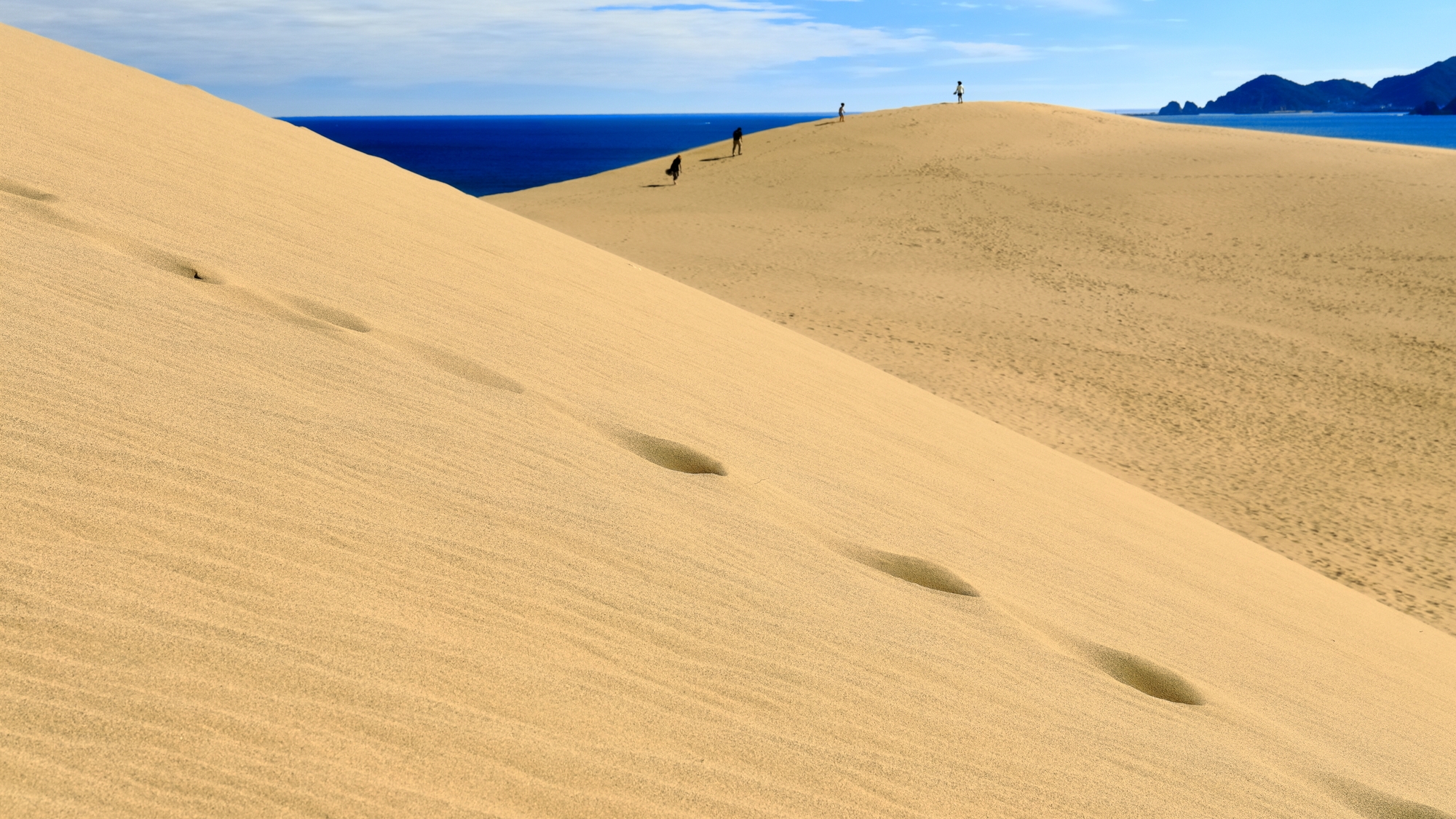 【鳥取砂丘】当館から車で12分