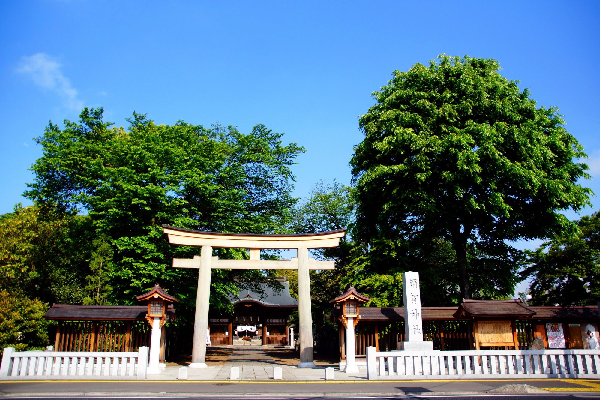 【当館から徒歩で15分】須賀神社　境内にある樹齢400年以上の大ケヤキは、市の天然記念物