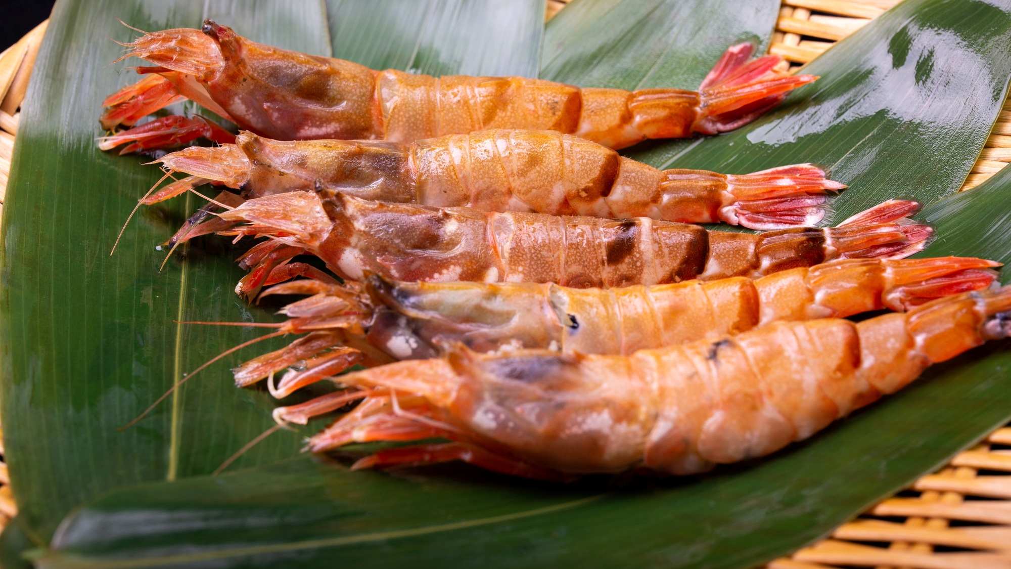 モサエビ：「甘エビよりも甘い」と絶賛される有名な幻の逸品です