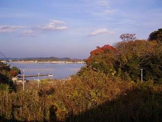 桂島の秋