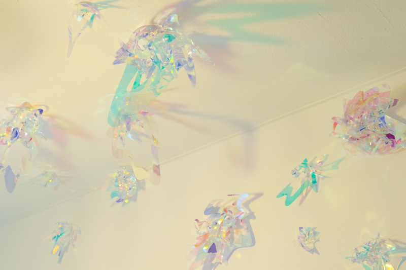 Asae Soya "Splash" expanded