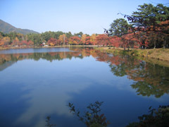 大沼湖