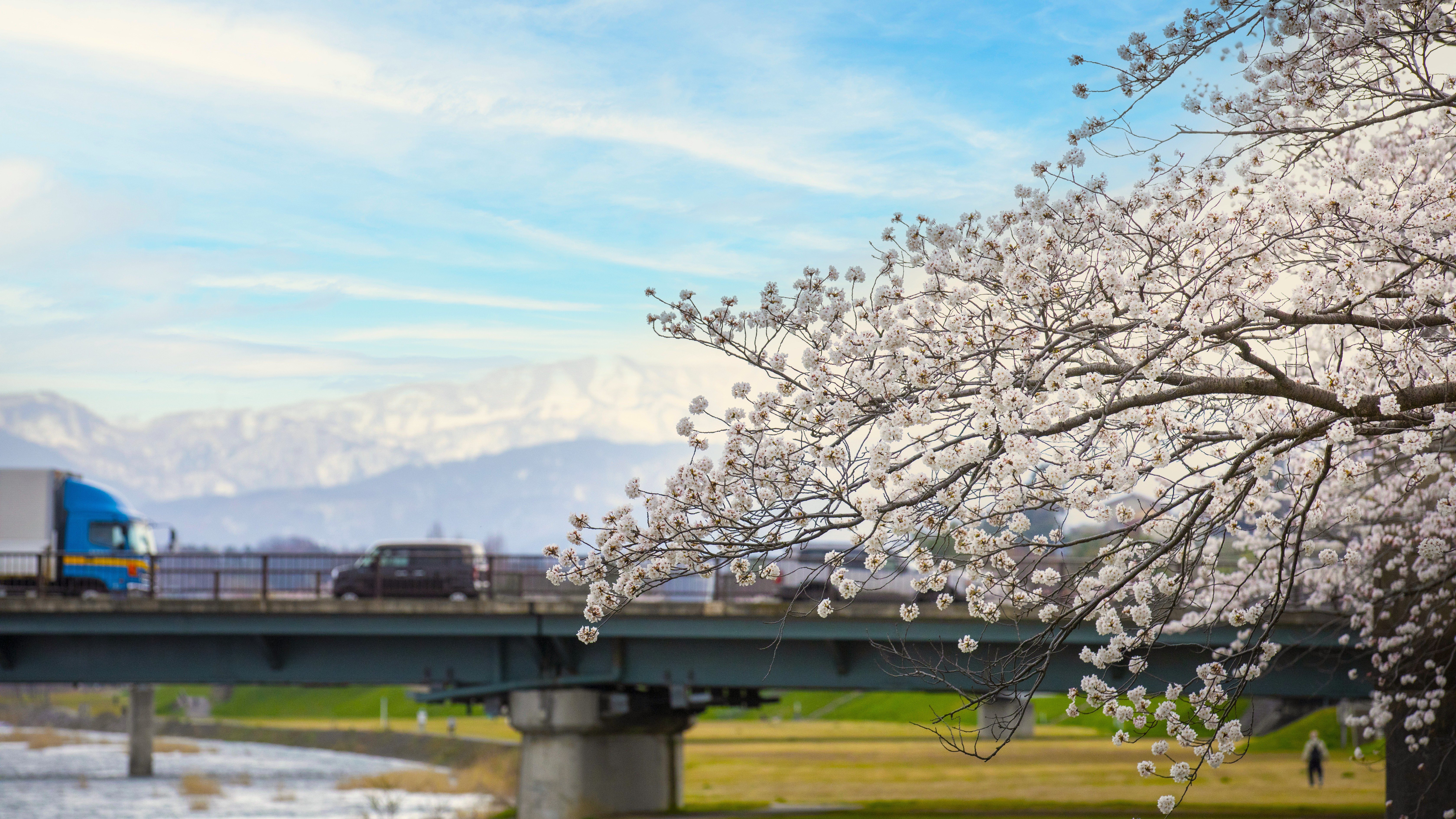 【当館からの風景】金沢の中心を流れる犀川のほとりに佇む旅館。春は満開の桜と犀川を愛でる。