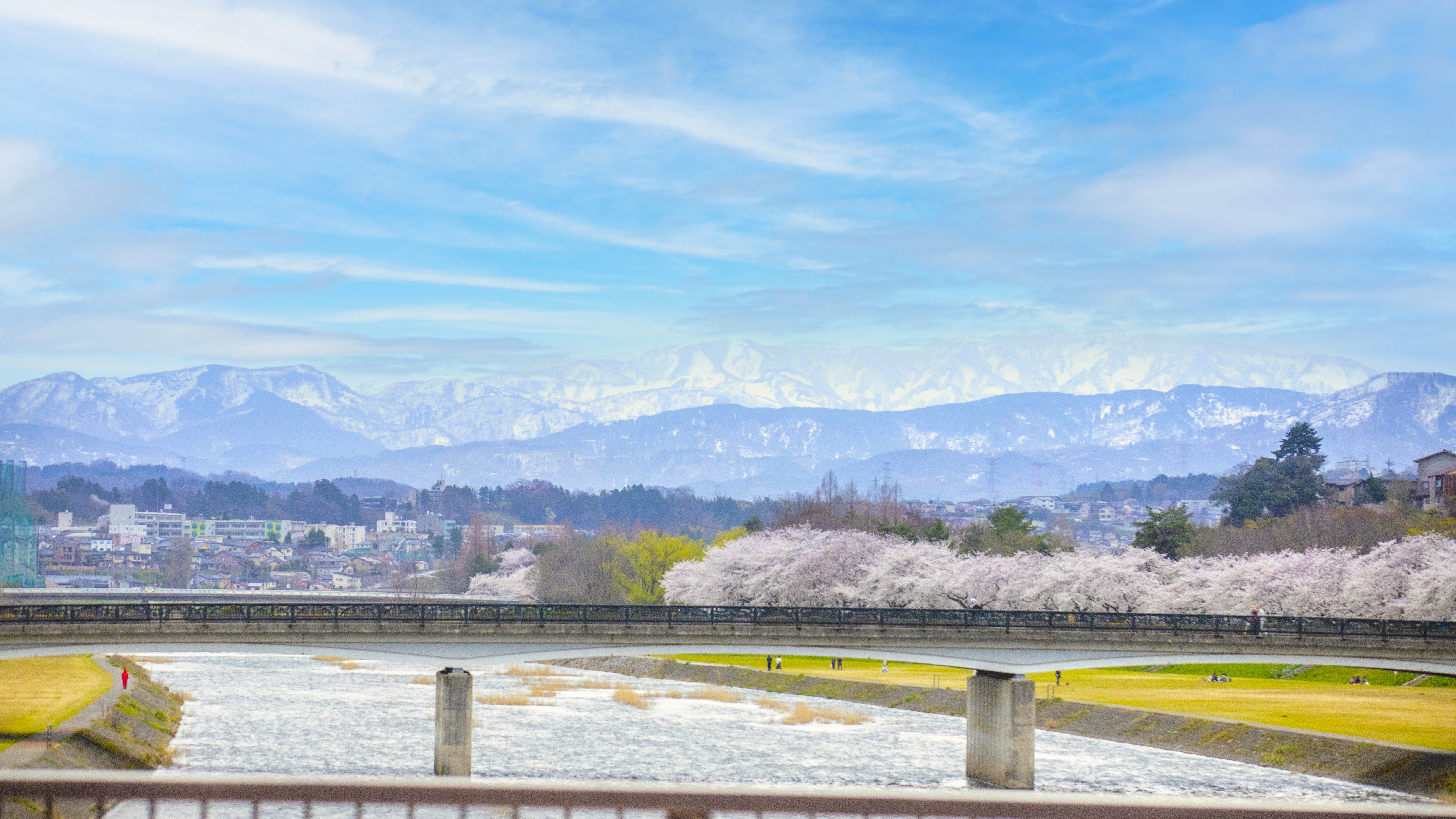 【当館からの風景】金沢の中心を流れる犀川のほとりに佇む旅館。春は満開の桜と犀川を愛でる。