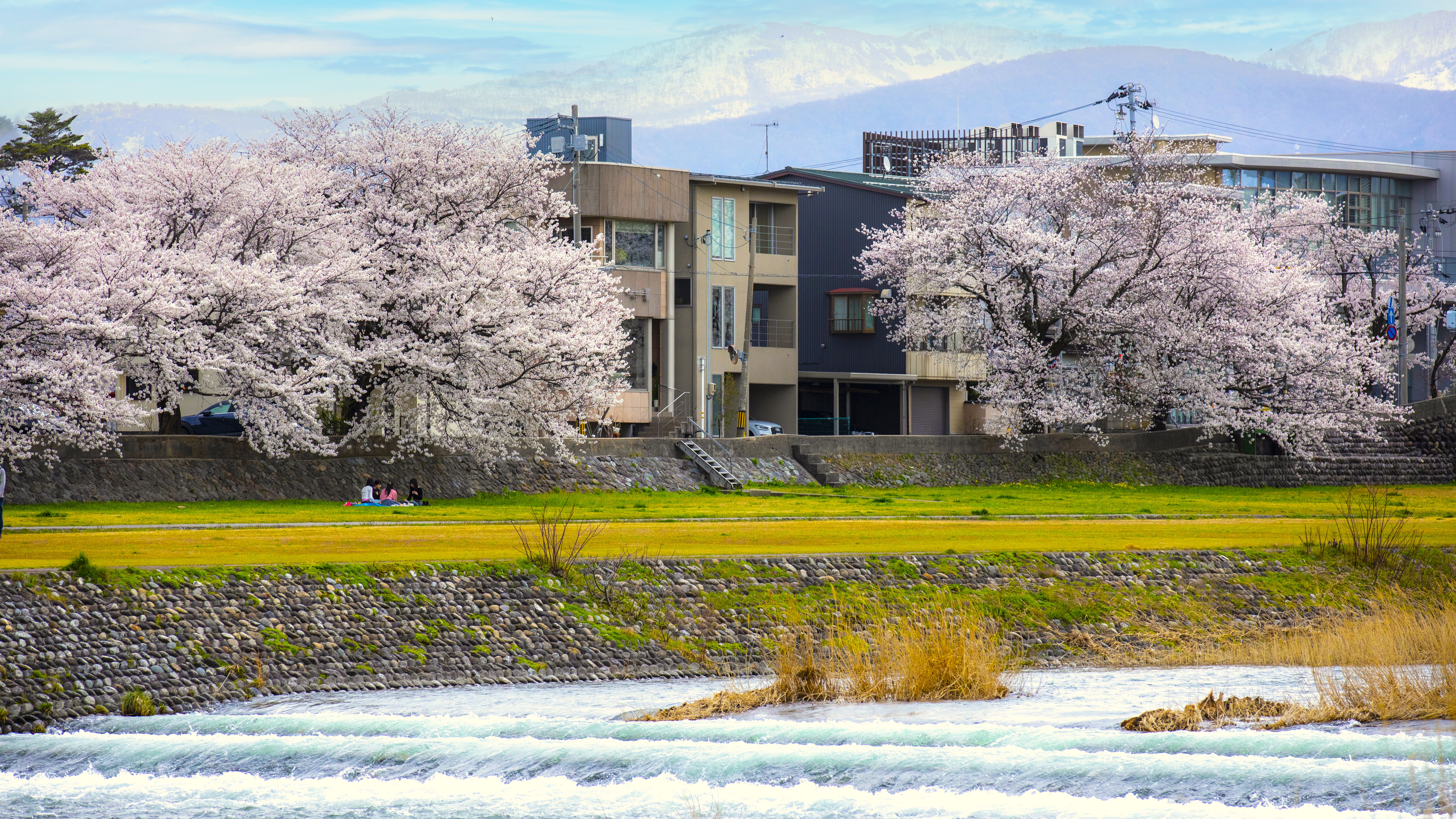 【当館からの風景】金沢の中心を流れる犀川のほとりに佇む旅館。春は満開の桜と犀川を愛でる。
