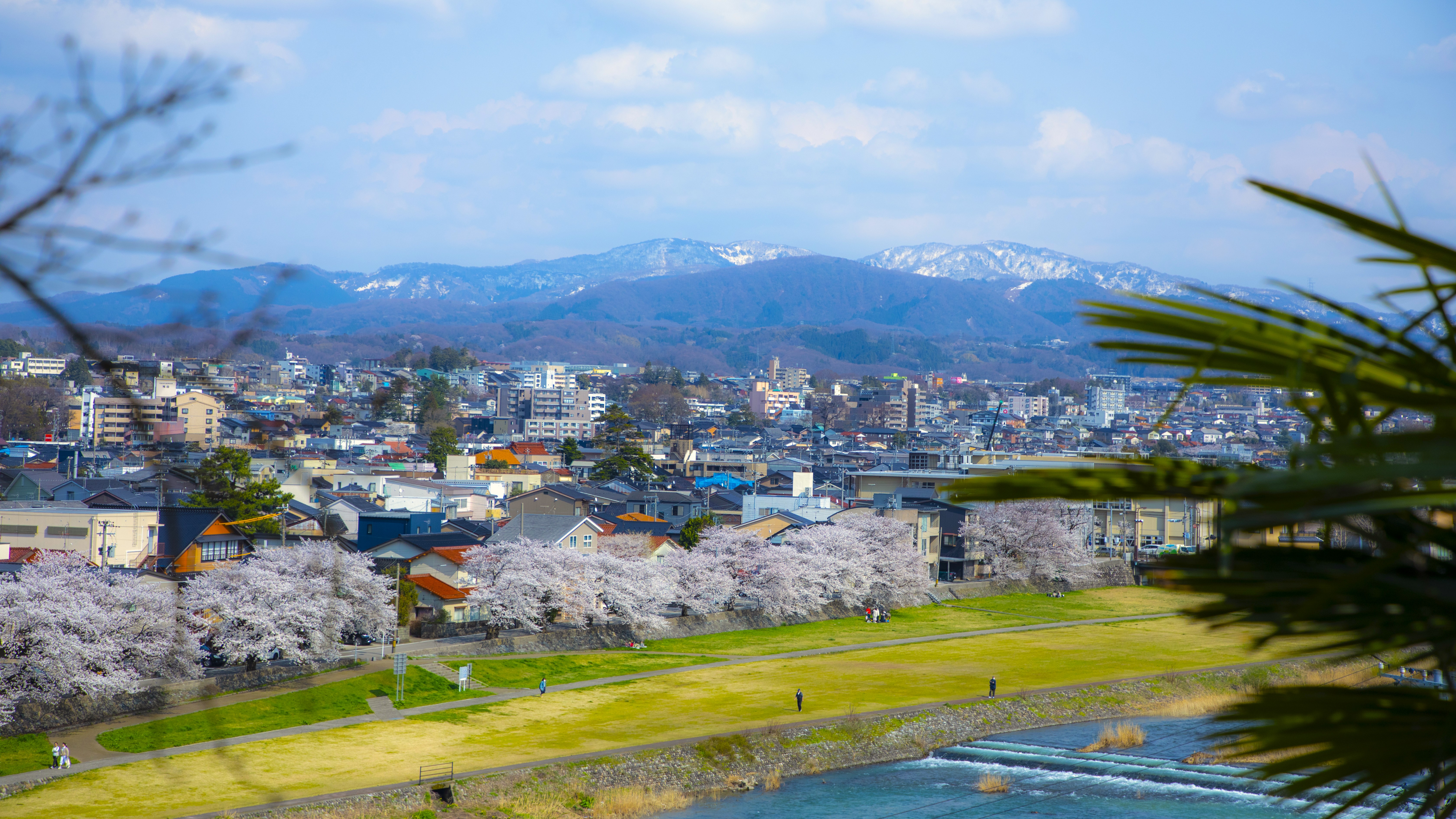 【当館からの風景】金沢の中心を流れる犀川のほとりに佇む旅館。春は満開の桜と犀川を愛でる。