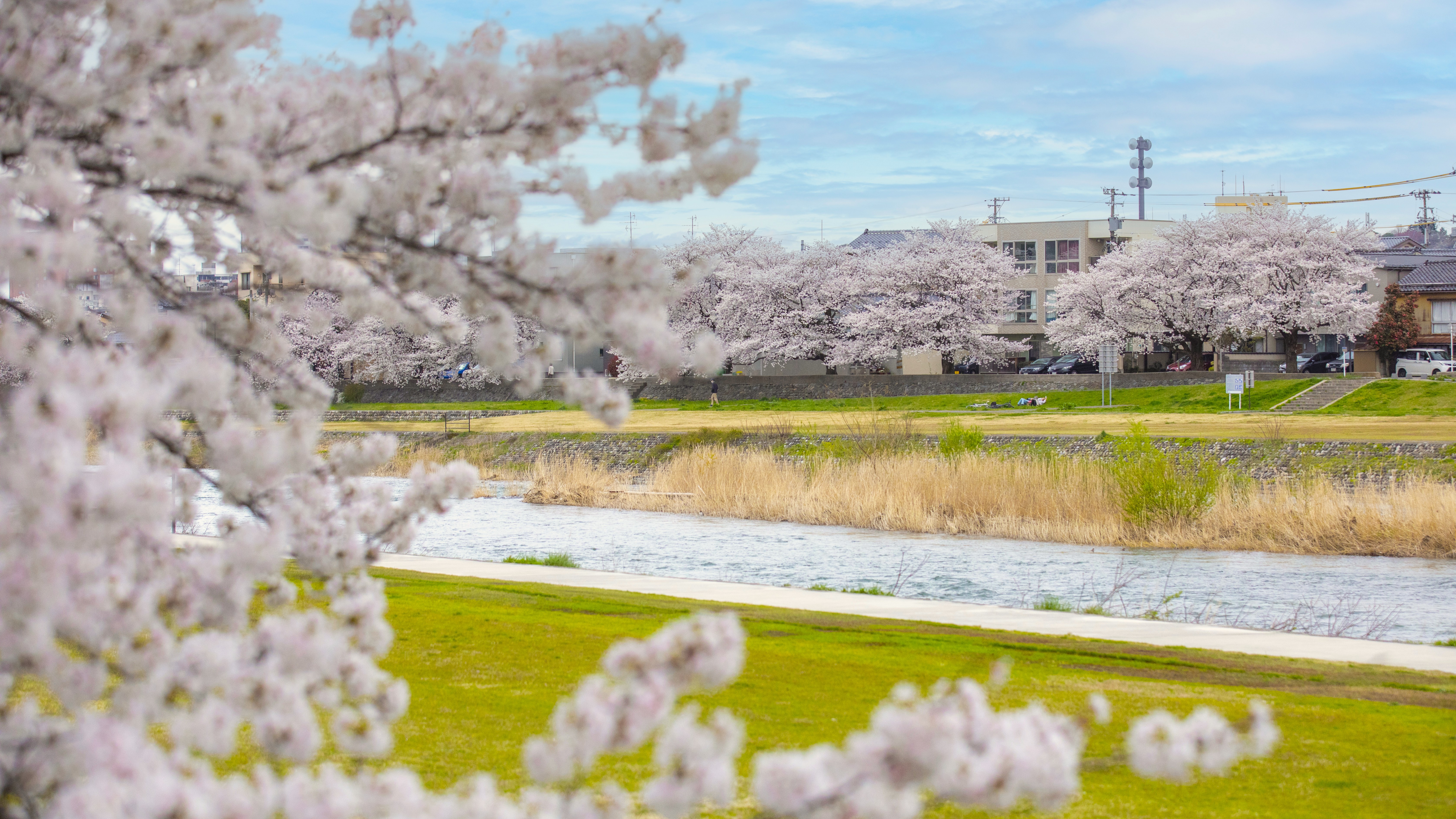 【当館からの風景】金沢の中心を流れる犀川のほとりに佇む旅館。春は満開の桜と犀川を愛でる。