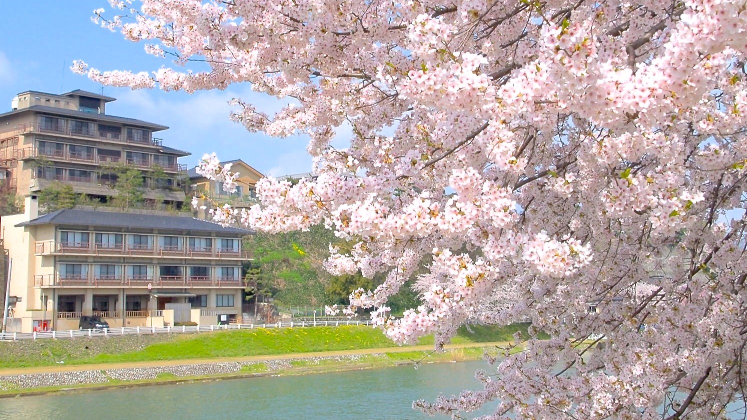 【外観】春の金沢は桜が美しく、3月末から4月上旬にかけて、桜を愛でながら、当館の前を流れる犀川を…