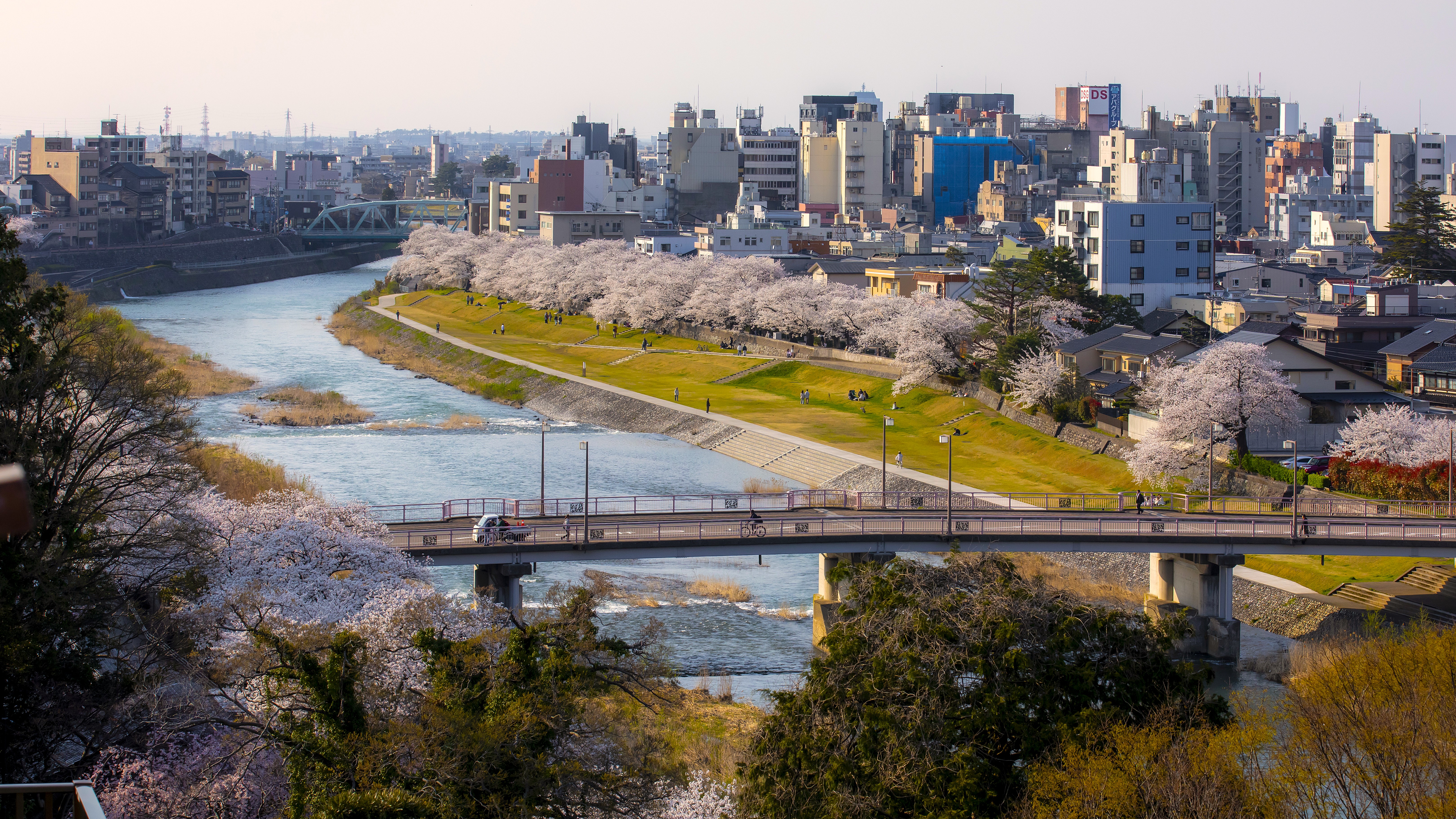 【当館からの風景】金沢の中心を流れる犀川のほとりに佇む旅館。春は満開の桜と犀川を愛でる。