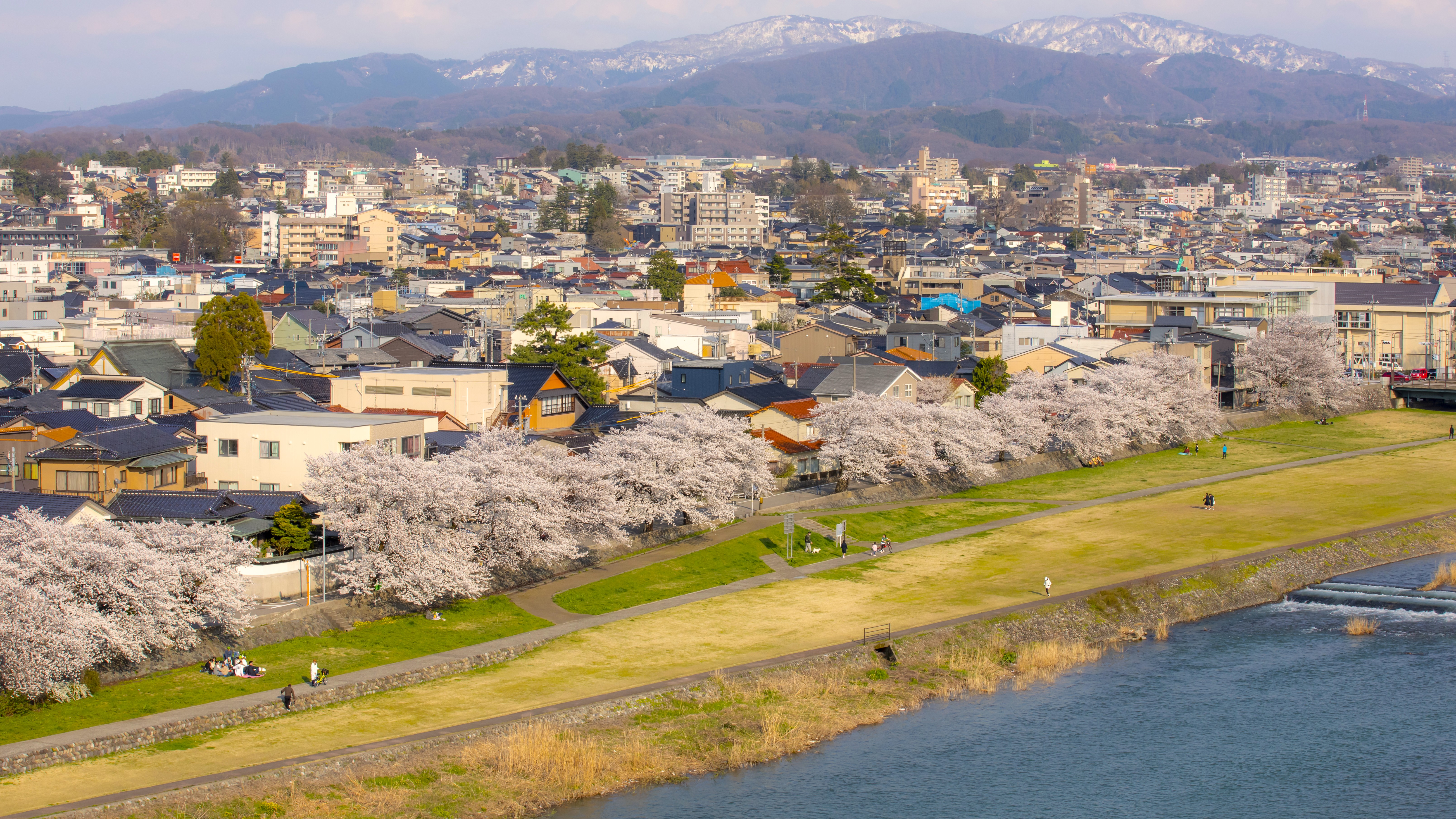 【当館からの風景】金沢の中心を流れる犀川のほとりに佇む旅館。春は満開の桜と犀川を愛でる。