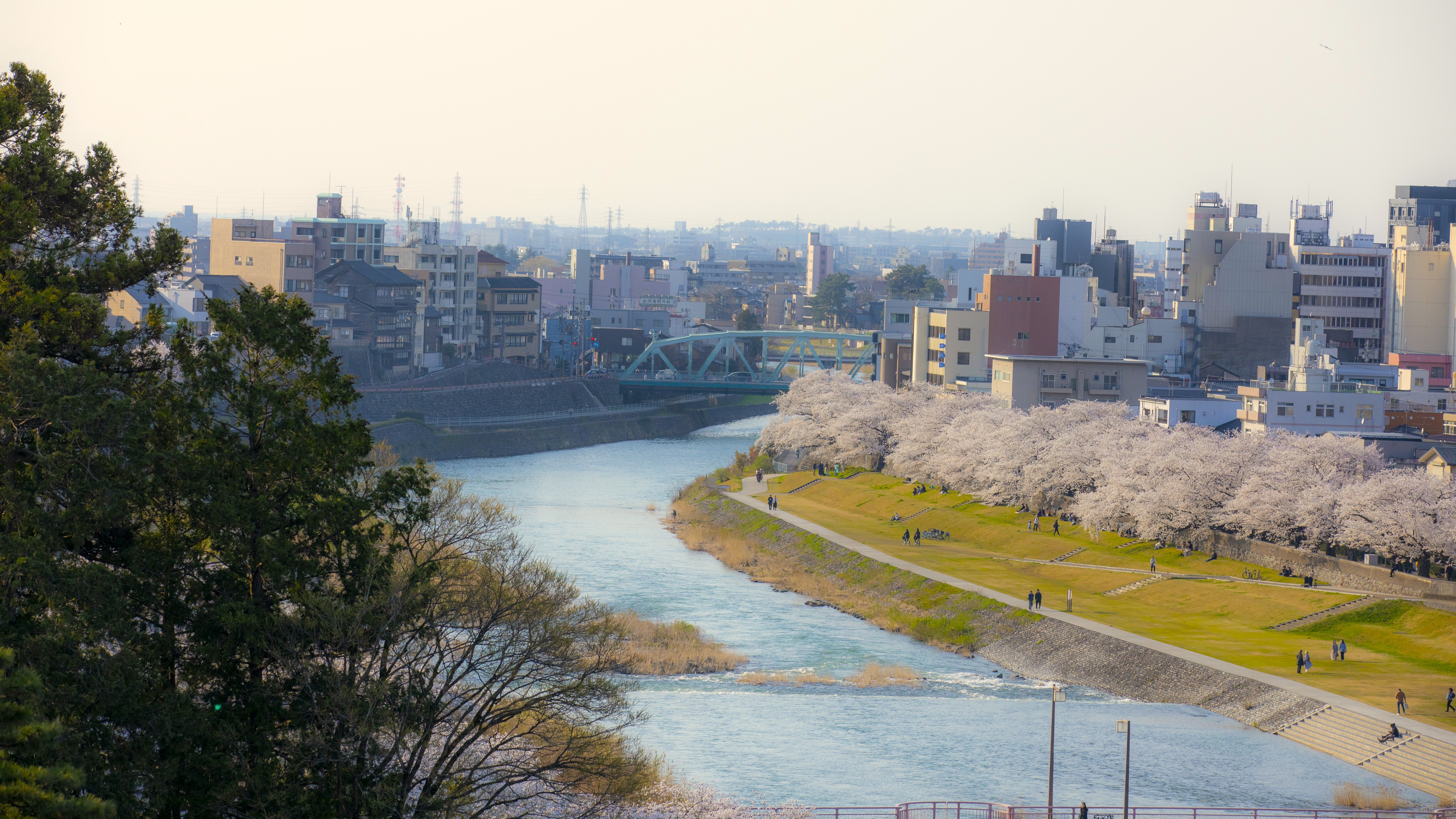 【当館からの風景】金沢の中心を流れる犀川のほとりに佇む旅館。春は満開の桜と犀川を愛でる。