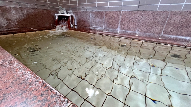 ■夕食のみ■朝ごはん不要のお客様に！色とりどりの新潟の幸がたっぷりな夕食を！（部屋食）