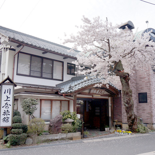 村杉温泉 川上屋旅館 格安予約 宿泊プラン料金比較 トラベルコ