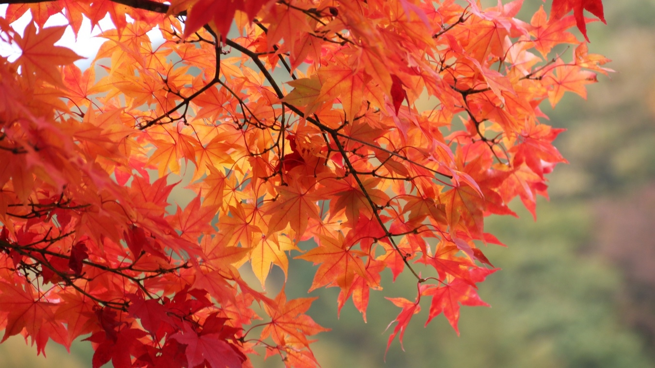 【素泊り】最終チェックイン 23時まで可能♪ジェットバスで身体の芯まであったか プラン！