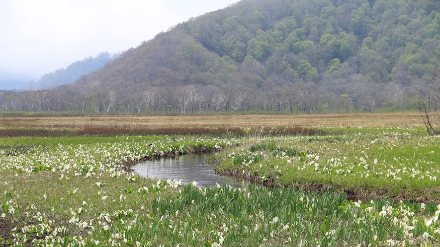 尾瀬国立公園 _山