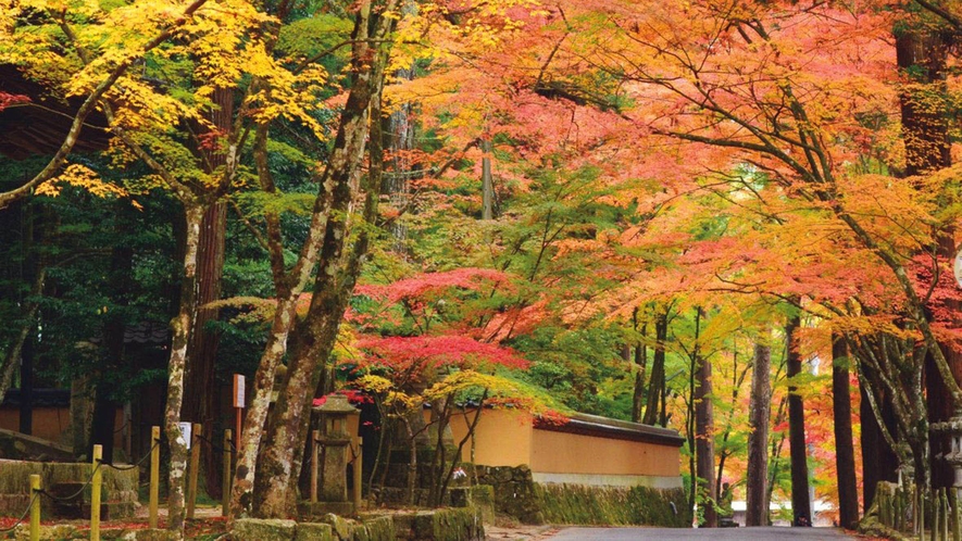 ・＜佛通寺＞西日本屈指の禅道場が様々な色の紅葉で覆われます