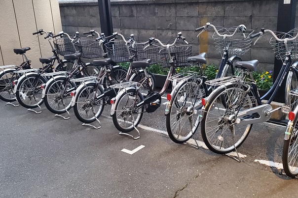 Basic stay (素泊）