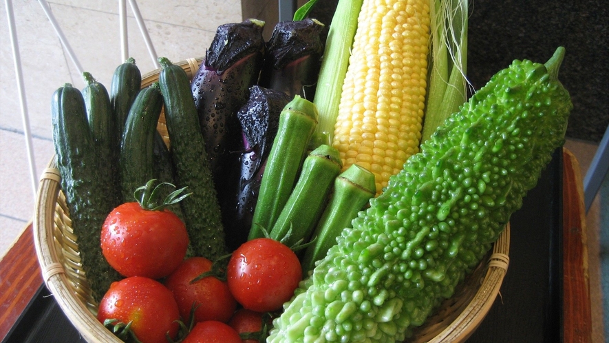 夏の信州野菜フェア　みずみずしい夏野菜です♪