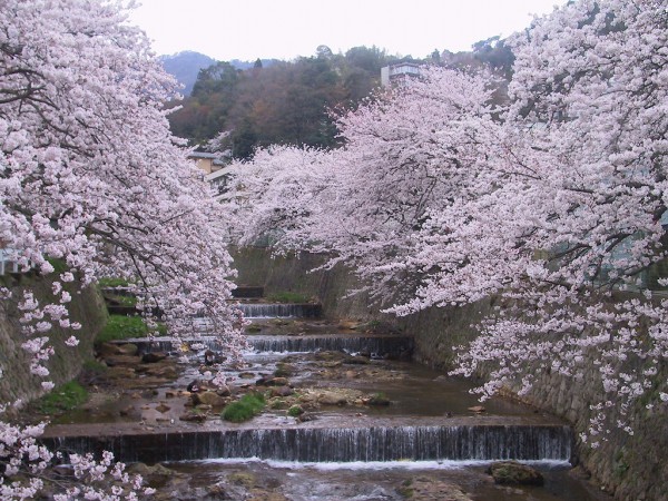 有馬温泉　角の坊旅館 - 写真 152
