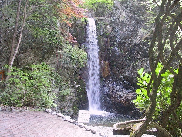 有馬温泉　角の坊旅館 - 写真 153