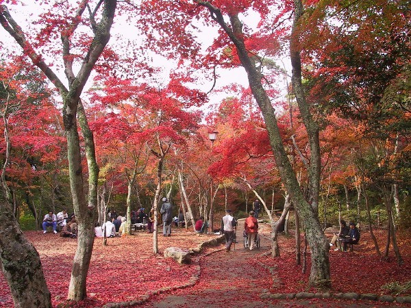 有馬温泉　角の坊旅館 - 写真 158
