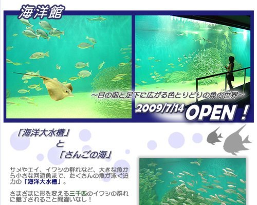 イルカやペンギンが待っています！【越前松島水族館】入場券付プラン！朝食無料