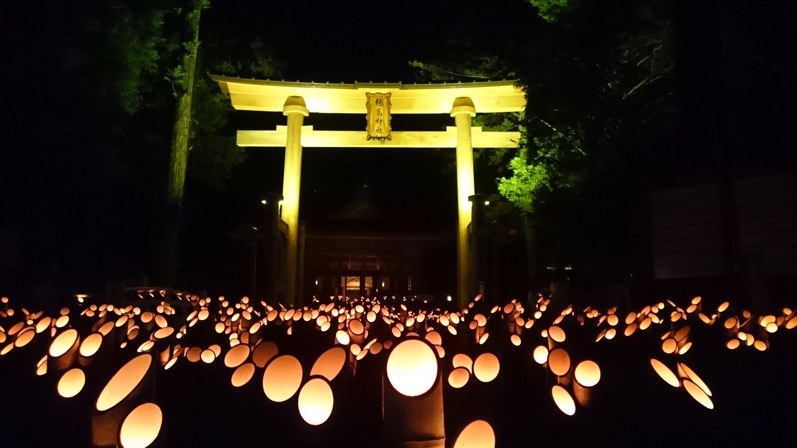 幻想的イベント【1万本の竹灯籠・安曇野神竹灯】会場内で使える千円分の利用券付※スタンダードフレンチ
